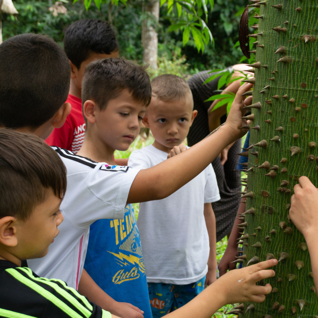 Diseño sin título (24)