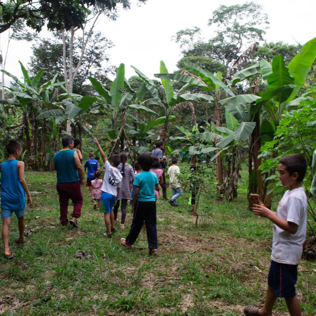 Diseño sin título (25)