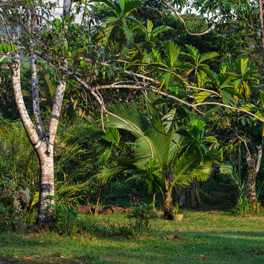 Diseño sin título (26)