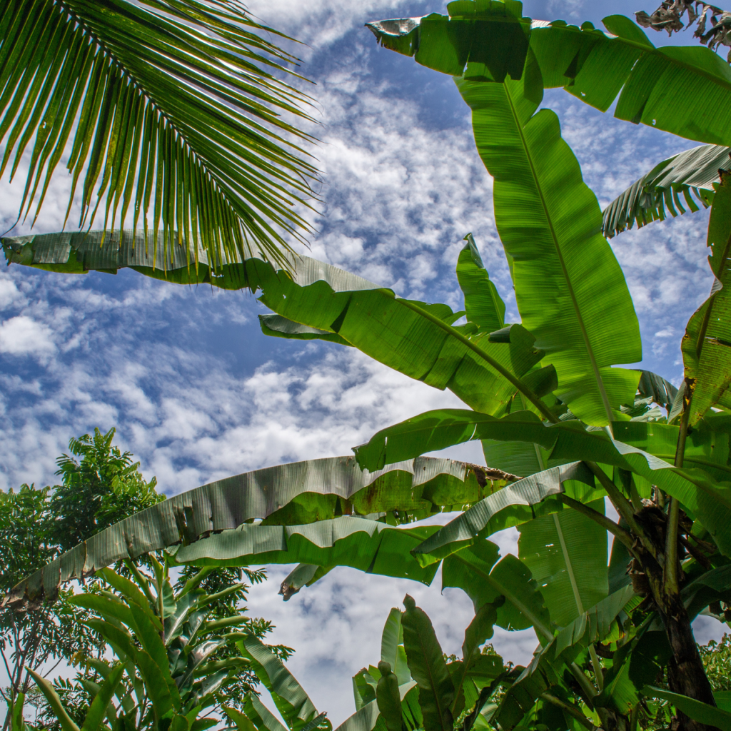 Diseño sin título (27)